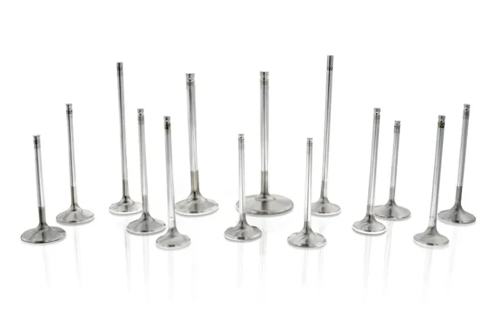 Ferrea GM ECOTEC 30.1mm 5.96mm 101.5mm Stock Competition Plus Exh Valve – Single (Drop Ship Only)