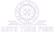 Auto Tune Firm